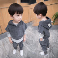 2019 Spring Autumn Baby Boys Clothes Sets Hooded Coat+T Shirt+Pants 3 PCS Casual Infant Cotton Suits Children Kids Sport Suits